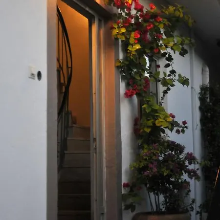 Mellia * 올림피아